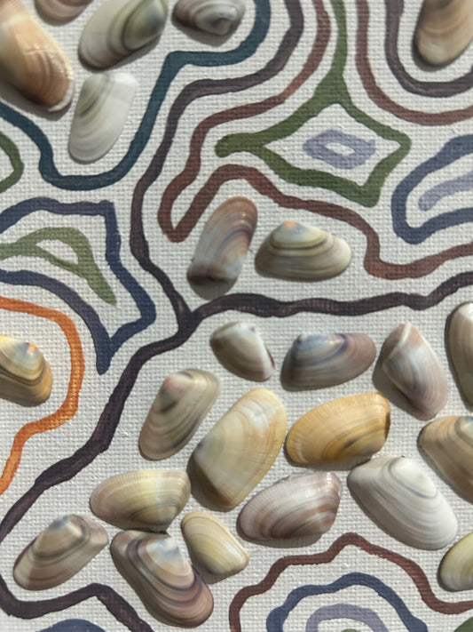 Venice Beach, CA (large)