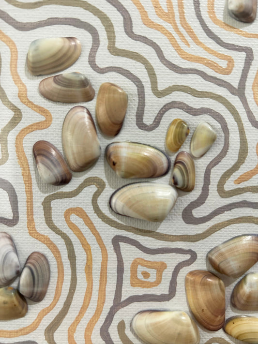 Redondo Beach, CA (large)